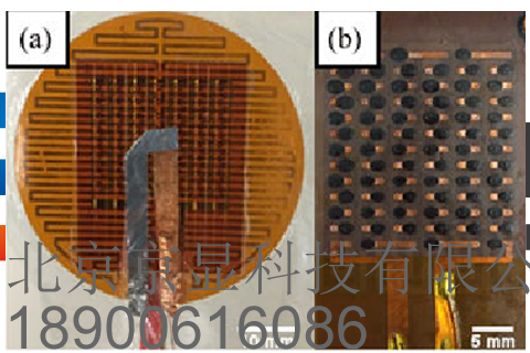 TSR系列双谱辐射热流传感器