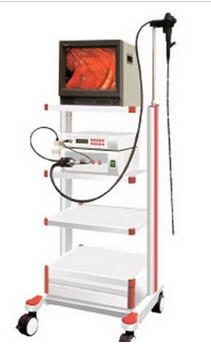 电子胃镜 GVE-2100