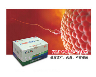 精子DNA碎片染色试剂盒（SCD染色法）