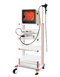 电子胃镜 GVE-2100